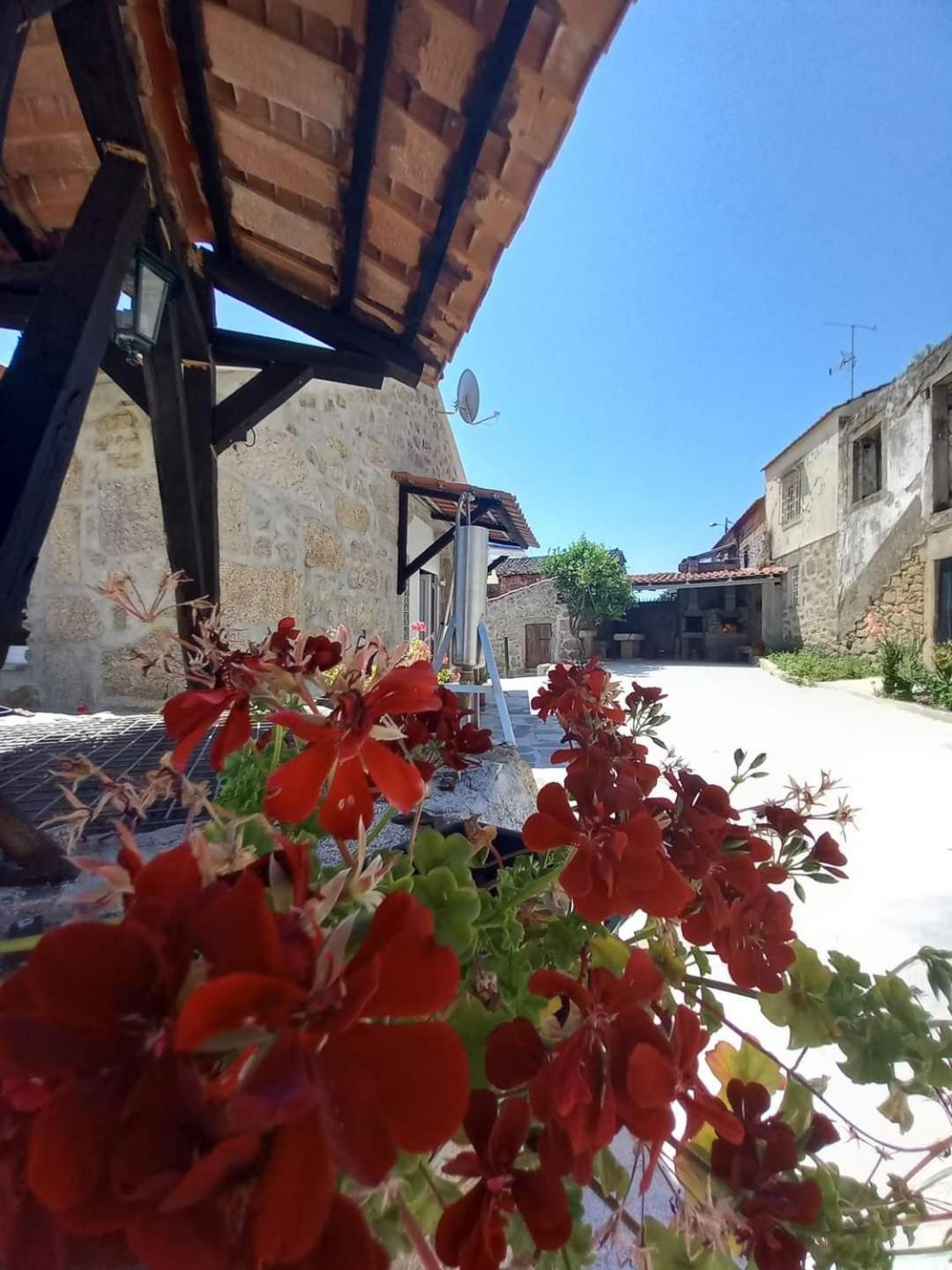 Вилла Quinta Do Cruzeiro Mata  Экстерьер фото